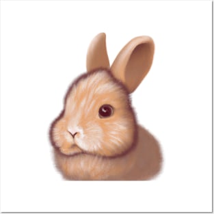 Cute Rabbit Drawing Posters and Art